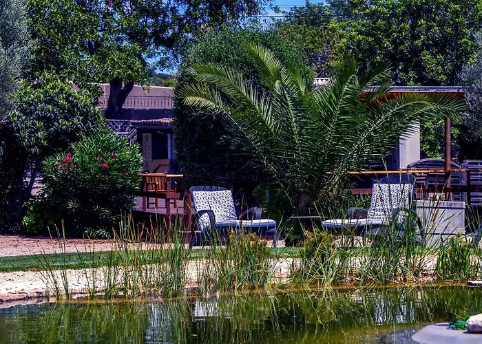 Algarve 4 Ensuite Bedrooms, Private Swimming Pool, Beautiful Gardens With Water Features And Natural Bio Pool Almancil